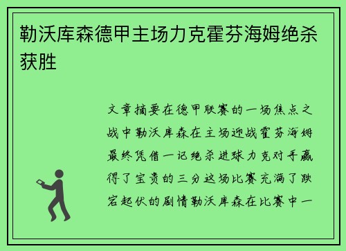 勒沃库森德甲主场力克霍芬海姆绝杀获胜 勒沃库森德甲主场力克霍芬海姆绝杀获胜